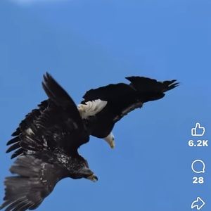 Meet your Posher, Jean